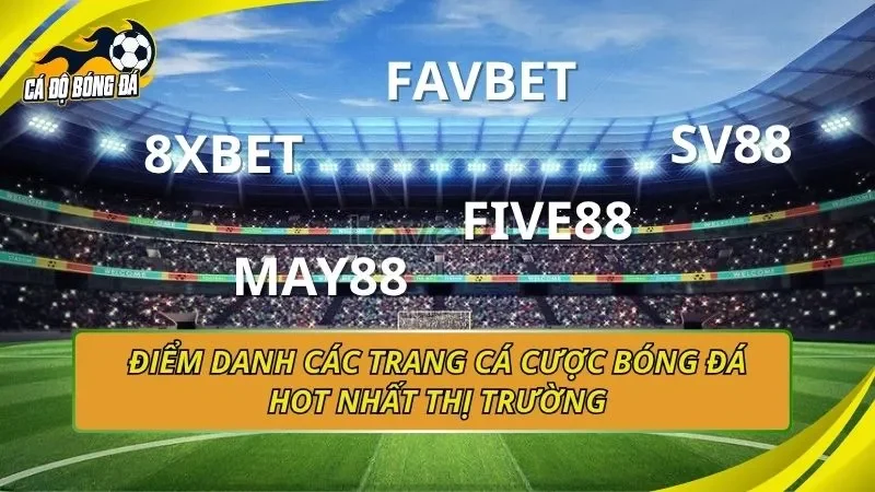 Top 10 trang cá độ bóng đá uy tín nhất Việt Nam 2026 - Review chi tiết